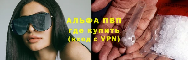 хмурый Долгопрудный