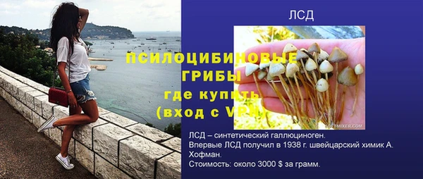 ГАЛЛЮЦИНОГЕННЫЕ ГРИБЫ Магадан