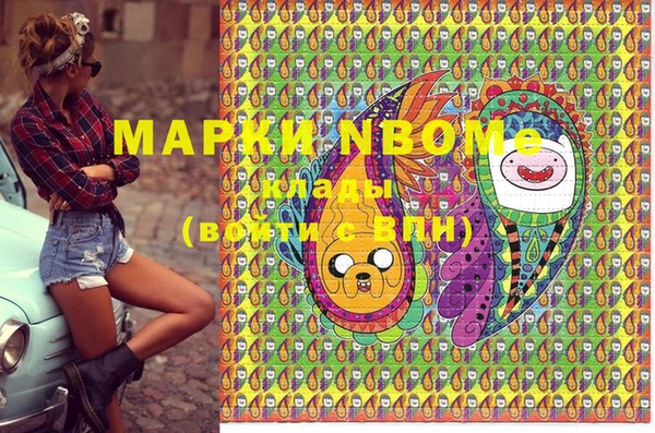 стафф Майский