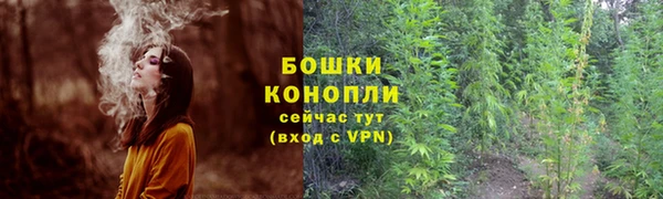 стафф Майский