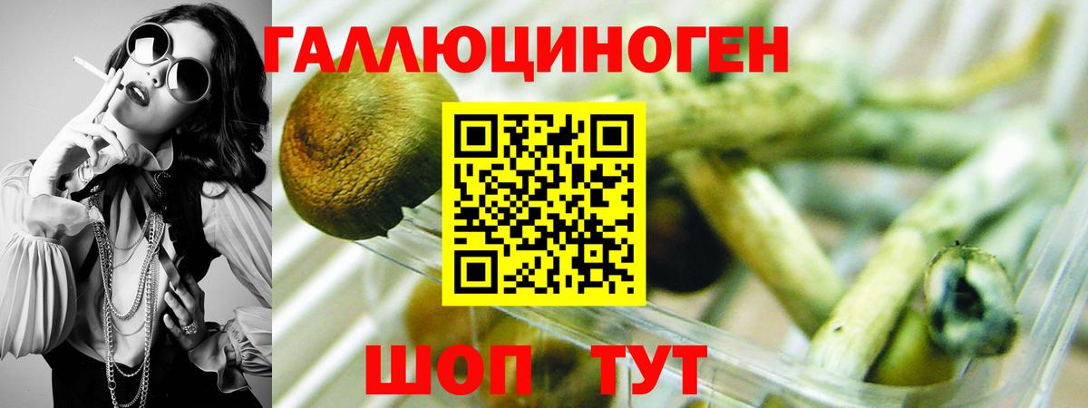 Псилоцибиновые грибы прущие грибы  Сорочинск 