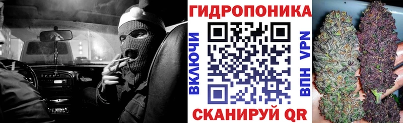Канабис индика  наркота  Сорочинск 